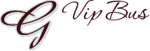 VIP BUS